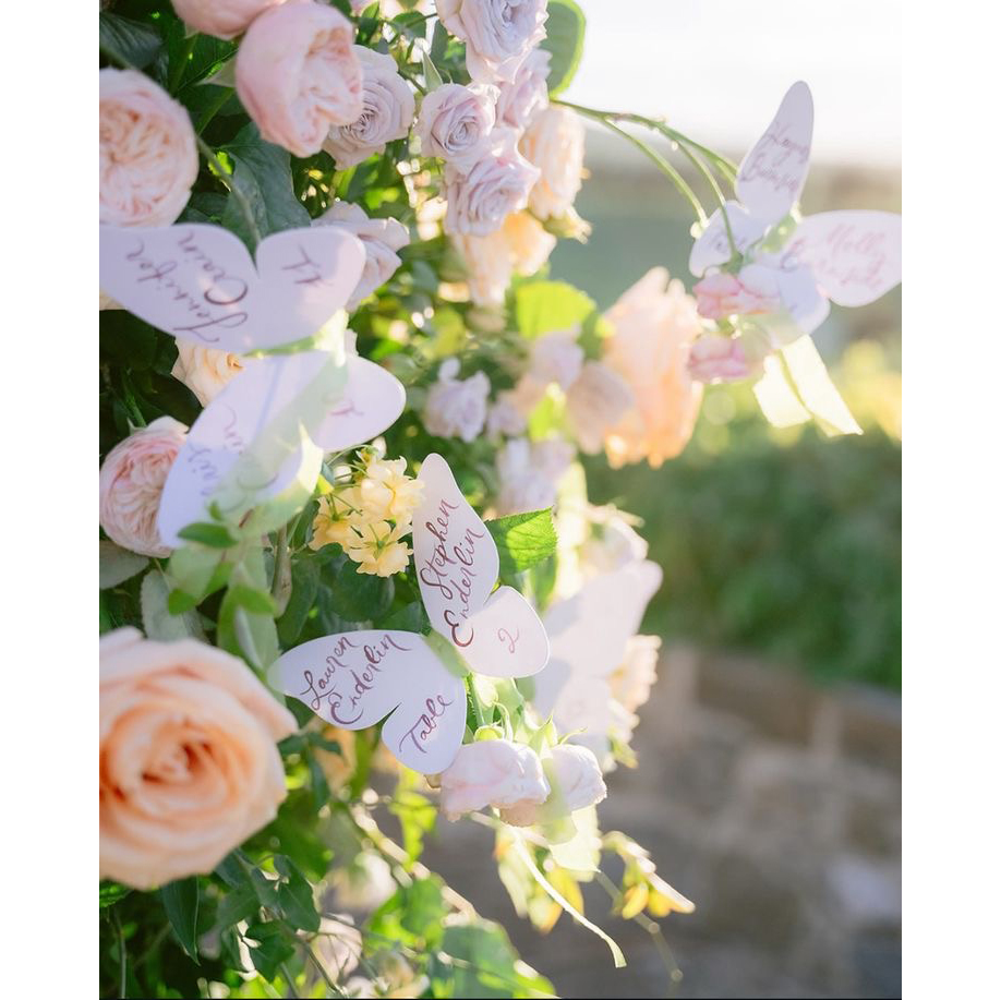قائمة فراشة أنيقة مخصصة دعوة ز - مراجعة Wedding Supply Business وسعره