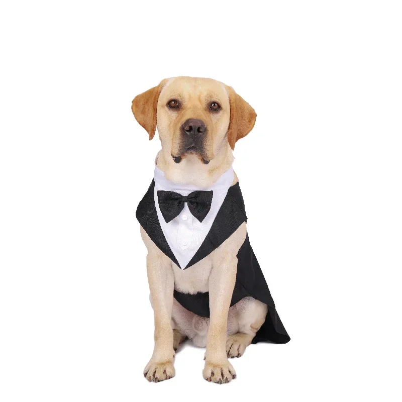 ملابس للكلاب الأليفة، قميص زفا - مراجعة Suit Supply Wedding Party وسعره